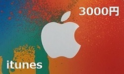 iTunes3000